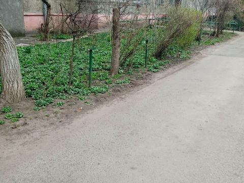квартира по адресу Ивана и Юрия Лип ул. (Гайдара), 23