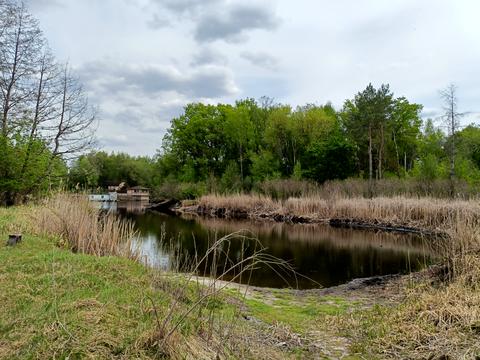 будинок за адресою с. Матвіївка, Шевченка, 34