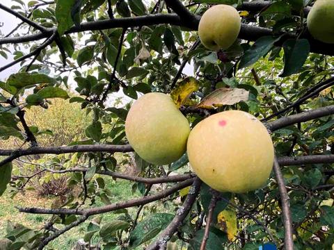 будинок за адресою Передова вул.