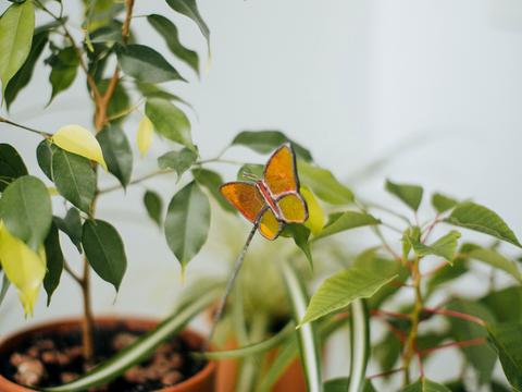 квартира за адресою Академіка Глушкова просп., 9е