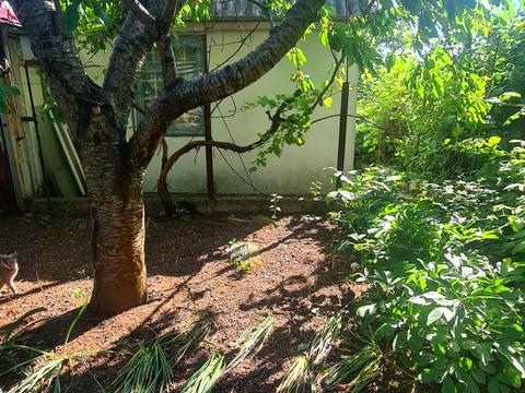 дом по адресу Хвойна, 329