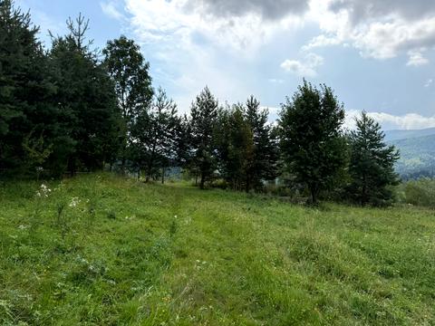 будинок за адресою Головна