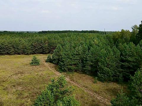 участок по адресу с. Сувид, 