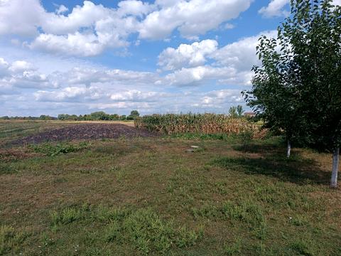 ділянка за адресою Першотравнева