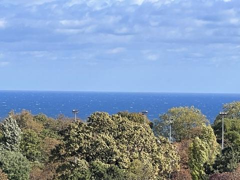 квартира по адресу Шевченко просп., 29/1