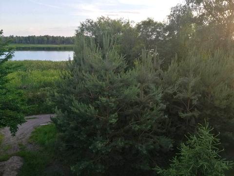 будинок за адресою Бєлградська вул.