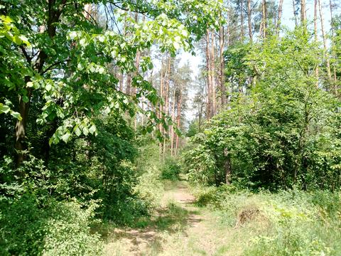 ділянка за адресою Синьоозерна вул.