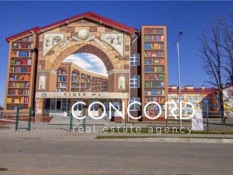 ділянка за адресою с. Петропавлівська борщагівка, Павла Чубинського вул., 20