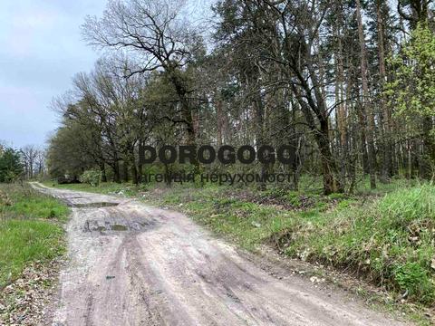 ділянка за адресою Максима Залізняка