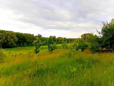 будинок за адресою с. Макіївка, Польова