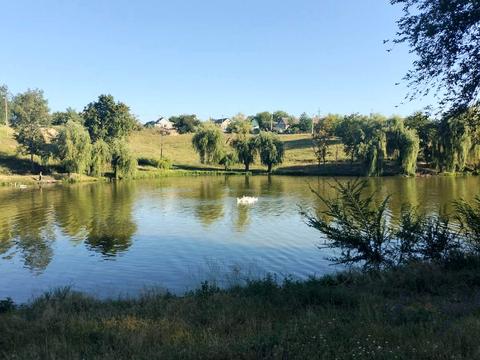 дом по адресу пгт. Яворницкое (Илларионово), Запорізька