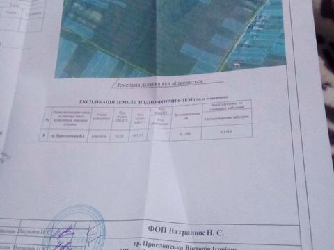 ділянка за адресою урочище Шнури
