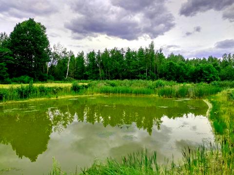 ділянка за адресою с. Нові Соколи, Романівка