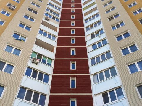 квартира за адресою Єлизавети Чавдар вул., 28