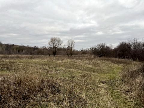 участок по адресу с. Щербановка, Гагаріна