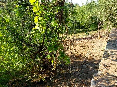 ділянка за адресою Ярослава мудрого, 37