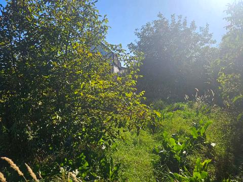 ділянка за адресою Новокиївська вул.