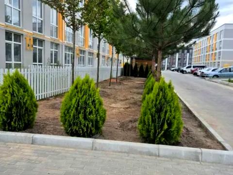 квартира за адресою Гідності вул., 17