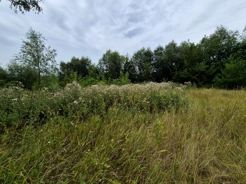 участок по адресу Гагарина ул.