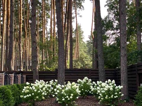 будинок за адресою Отамана Орлика вул.