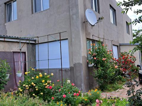 будинок за адресою Євгена Колісніченка, 23
