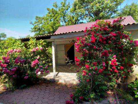 будинок за адресою Дениса Максишка вул. (Марії Демченко)