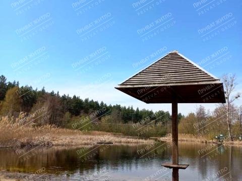 дом по адресу с. Бруновка, центральна, 1