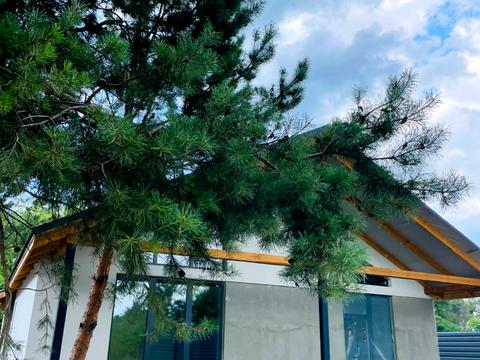 будинок за адресою Звенигородська вул.