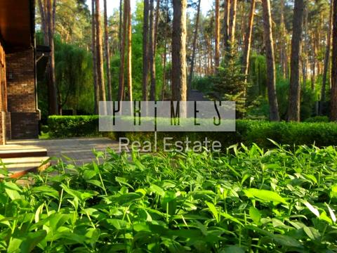 дом по адресу Гоголя ул.