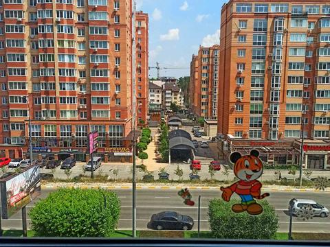 квартира за адресою вул. Університетська, 3.1