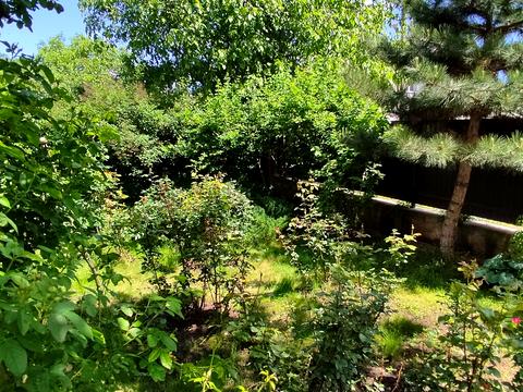 будинок за адресою Олександрівська