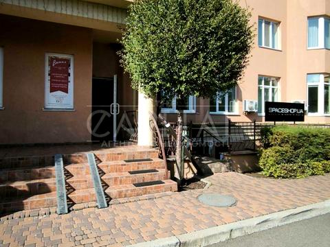 коммерческая по адресу Андрія Малишка ул. (Льва Толстого), 102