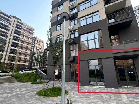 комерційна за адресою Олександра Олеся вул., 3