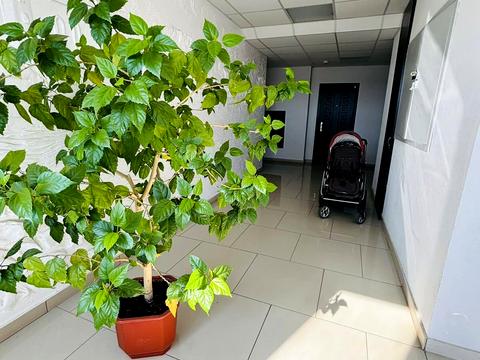 квартира по адресу Николая Боровского ул., 37
