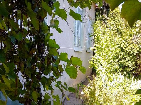 дом по адресу Княгині Ольги, 56