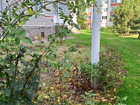 квартира по адресу Мира просп. (Леніна), 35б