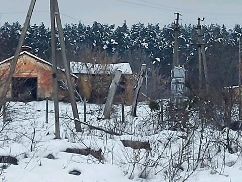 участок по адресу 