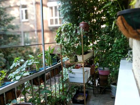 квартира за адресою Щекавицька вул., 44