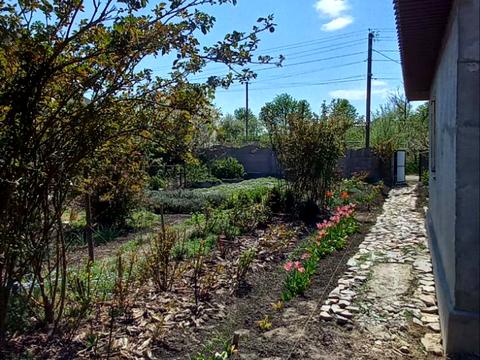 дом по адресу Тетиев, дібрівська, 19