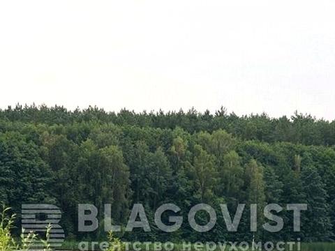 участок по адресу Синеозёрная ул.