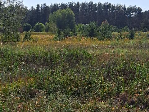 участок по адресу с. Никольское, Зоряна