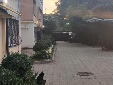 квартира за адресою Миколаївська вул., 66