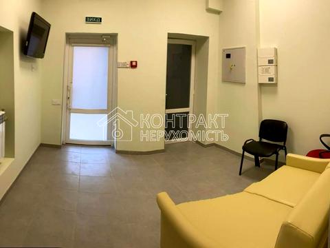 комерційна за адресою Максиміліанівська вул. (Ольминського), 7