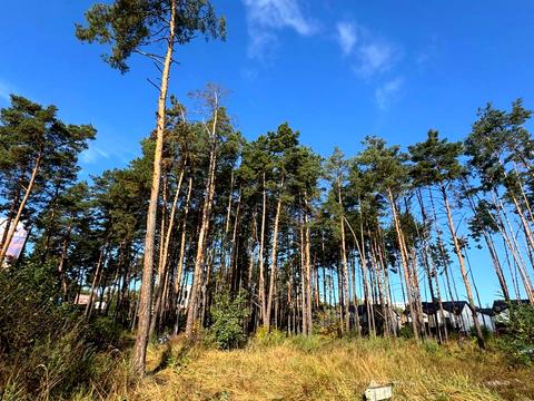 участок по адресу Гостомельське шосе, 11а