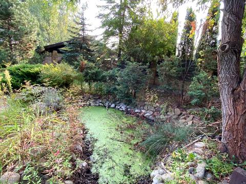будинок за адресою Лісова вул.