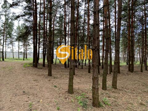 ділянка за адресою с. Кийлів, Дамба