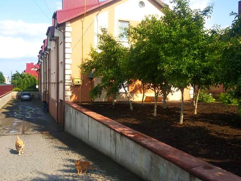 дом по адресу Независимости ул.