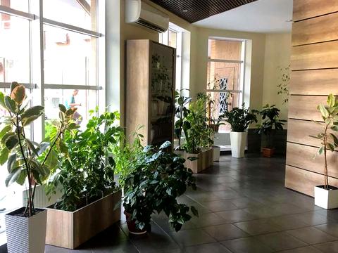квартира по адресу Французський, 26/2
