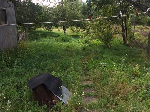 будинок за адресою Островського, 1