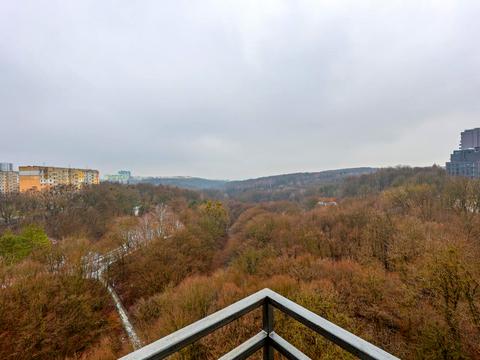 квартира по адресу Пасечная ул., 94б